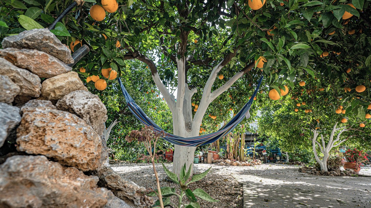 Photo of Outdoor in Agia