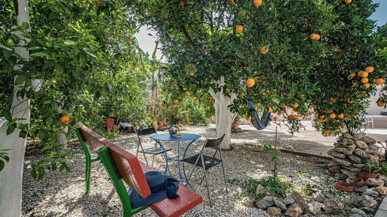 Photo of Outdoor in Agia