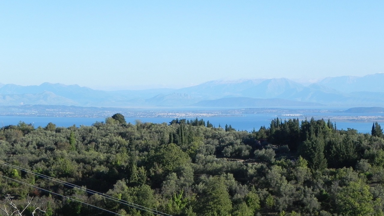 Photo of Others in Spanochori
