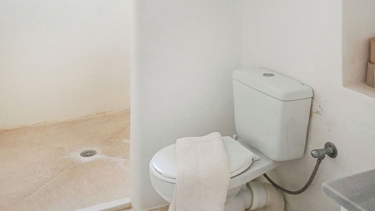 Photo of Bathroom in Syros