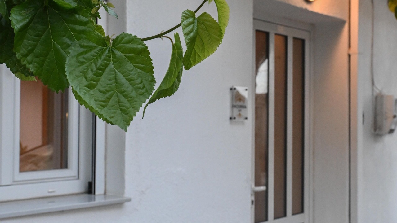 Photo of Outdoor in Kroustas