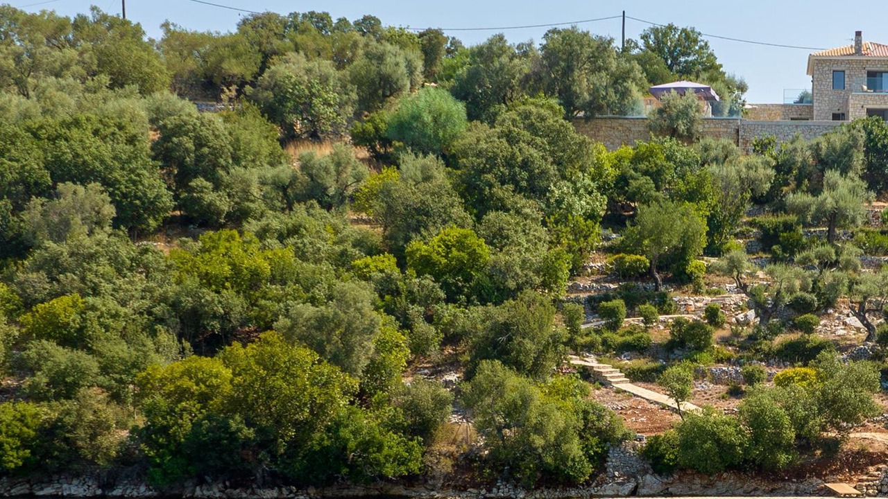 Photo of Others in Meganisi