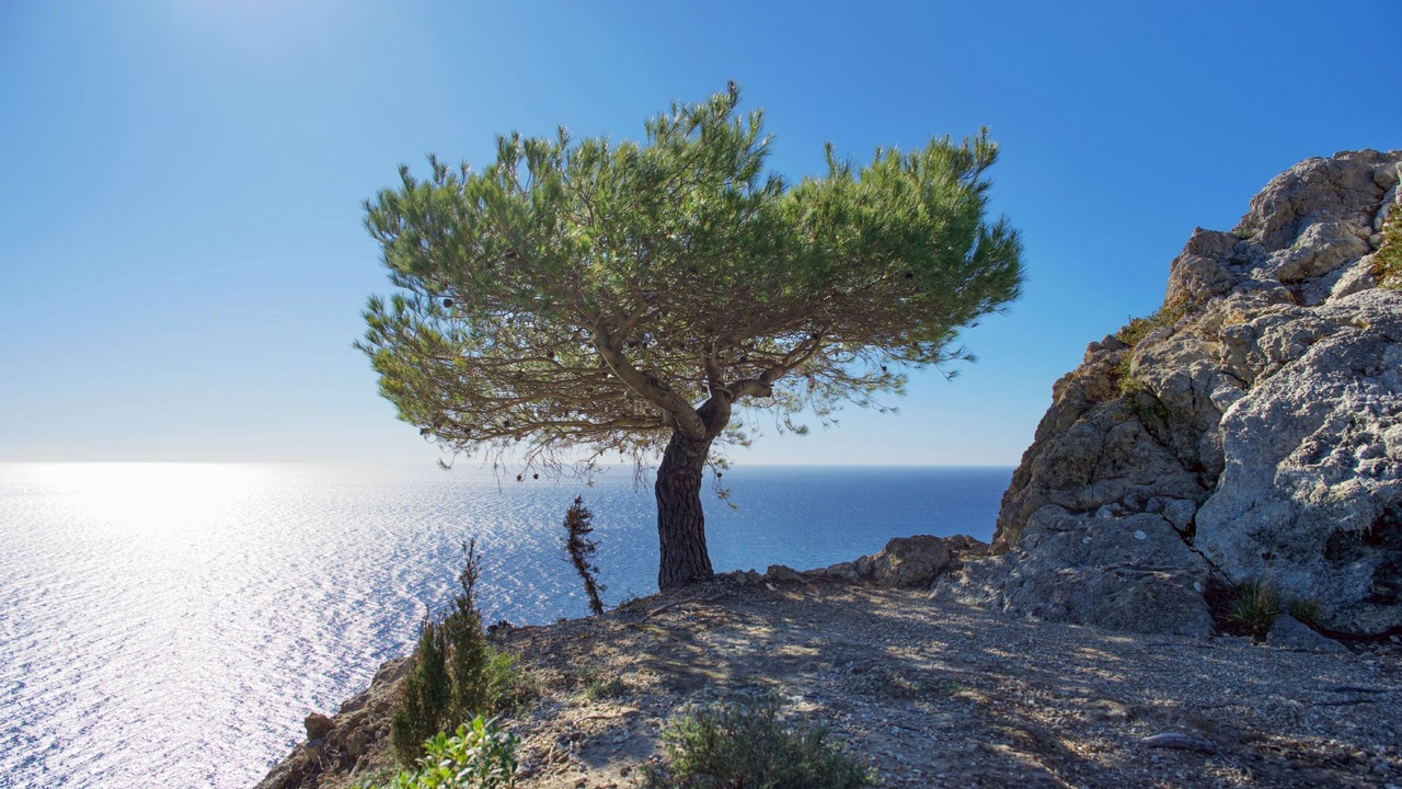 Photo of Others in Kouramades