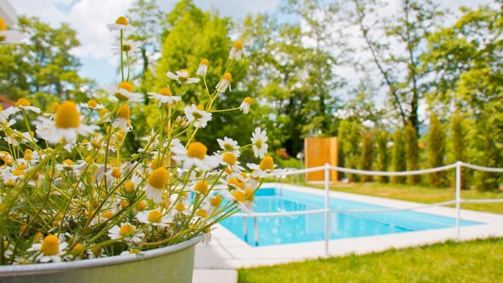 Photo of Outdoor in Olympiada