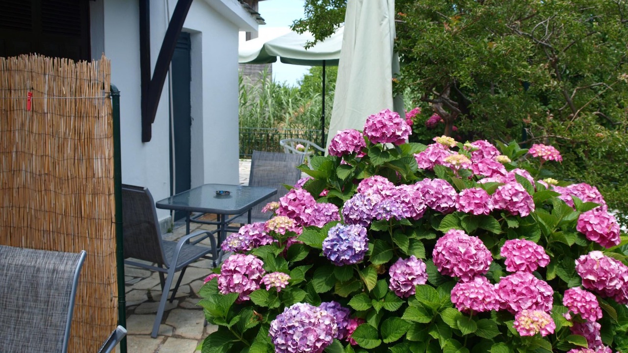 Photo of Outdoor in Agios Dimitrios
