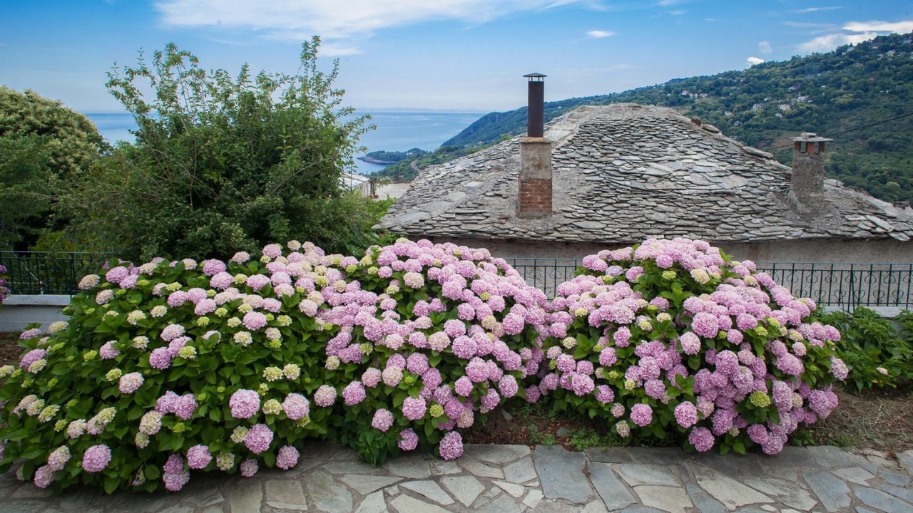Photo of Outdoor in Agios Dimitrios