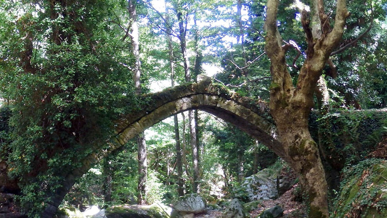 Photo of Outdoor in Agios Dimitrios