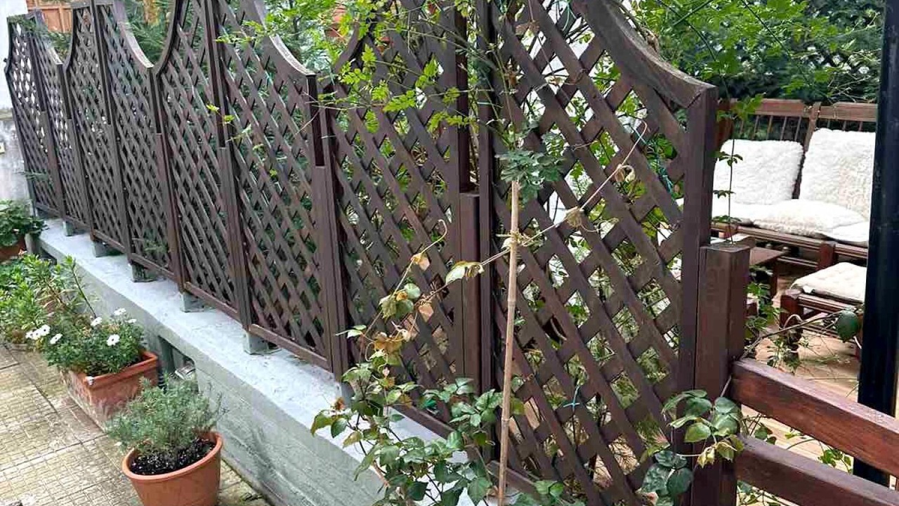 Photo of Outdoor in Ano Lechonia