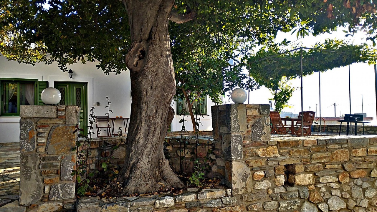 Photo of Patio Balcony in Kritinia