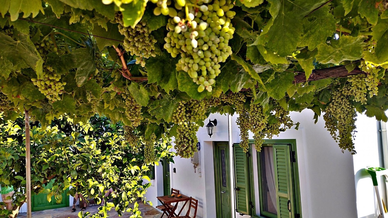 Photo of Outdoor in Kritinia