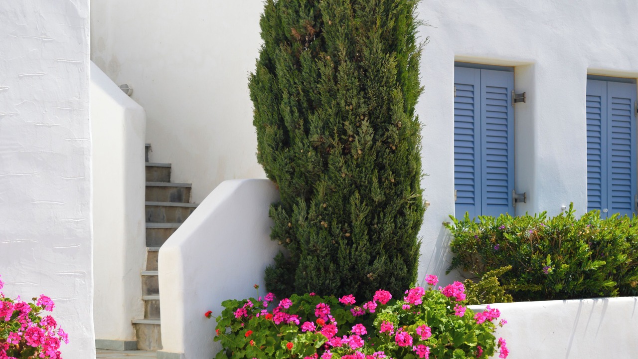 Photo of Outdoor in Molos