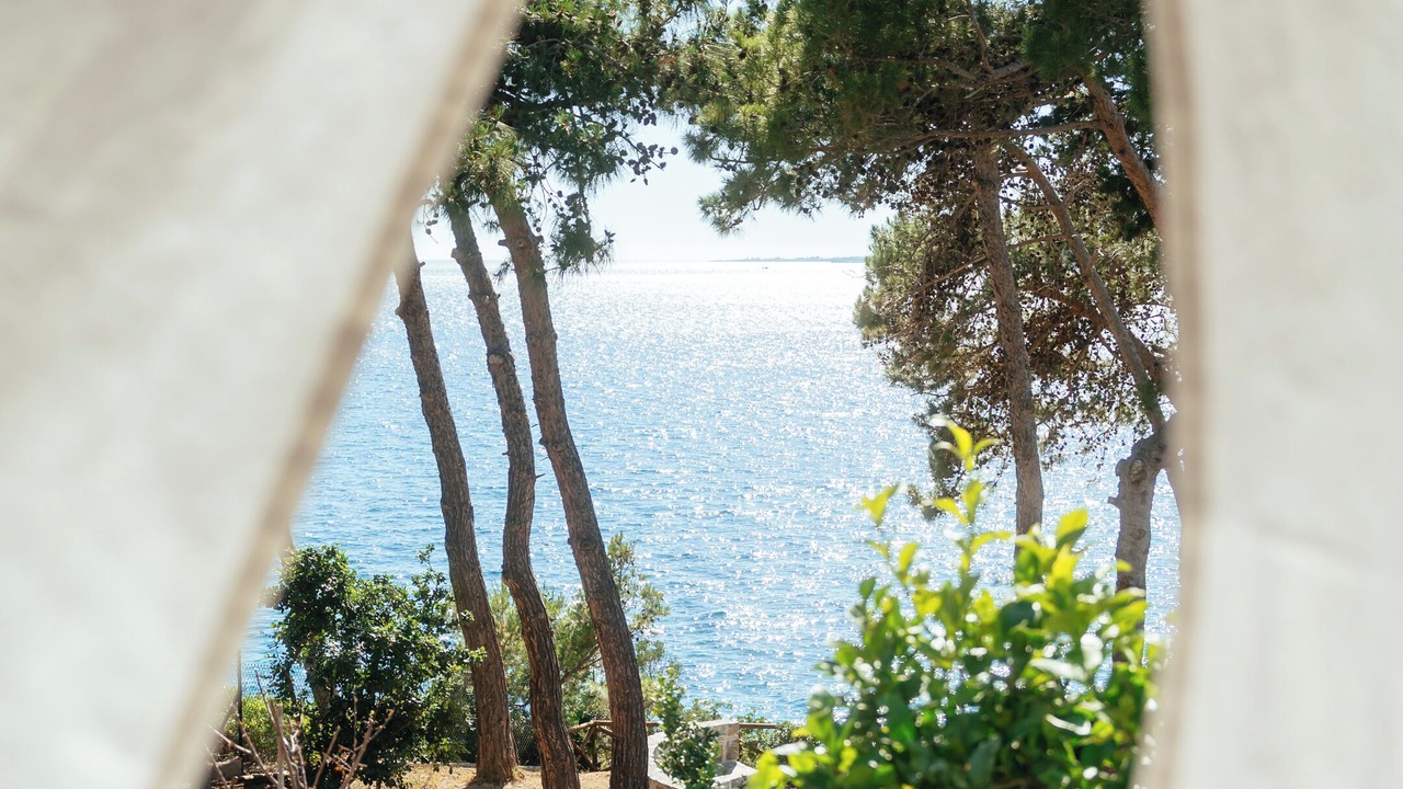 Photo of Outdoor in Lassi