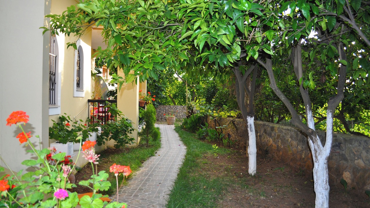 Photo of Outdoor in Agios Gordios