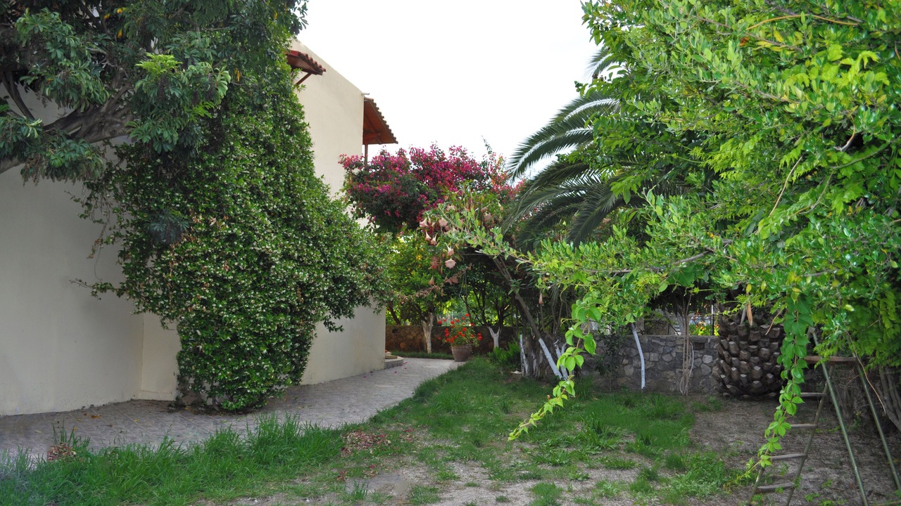 Photo of Outdoor in Agios Gordios