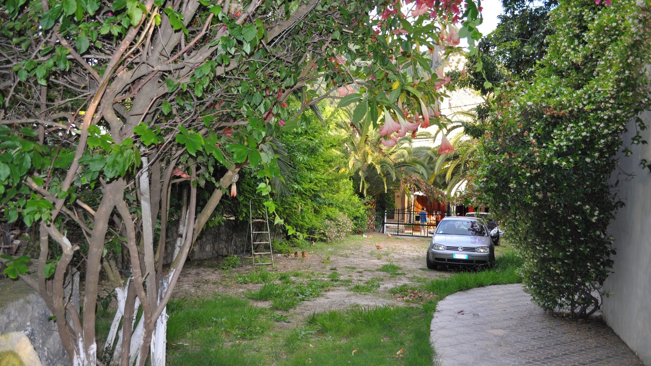 Photo of Outdoor in Agios Gordios