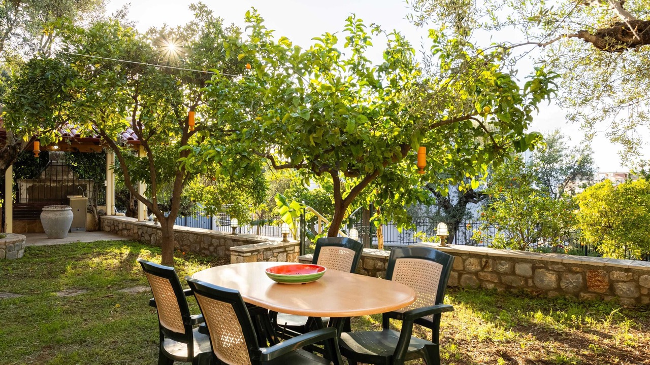 Photo of Outdoor in Avia