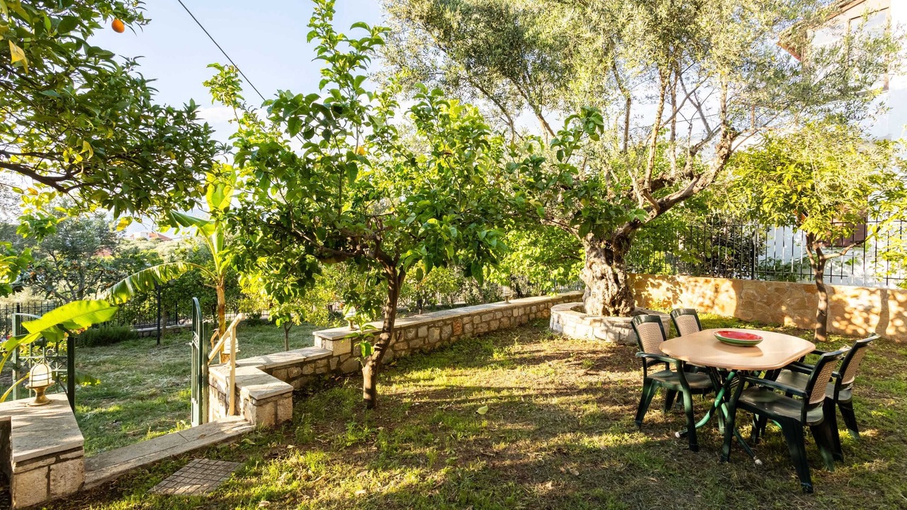 Photo of Outdoor in Avia