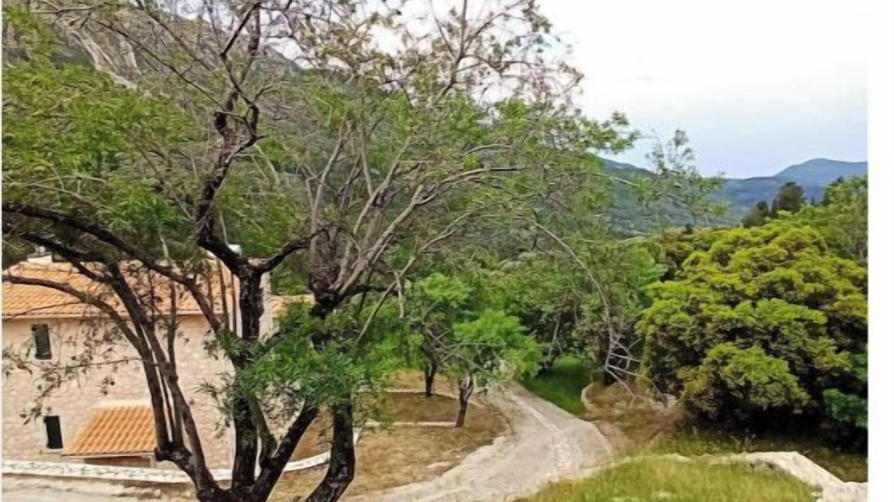Photo of Outdoor in Agios Petros