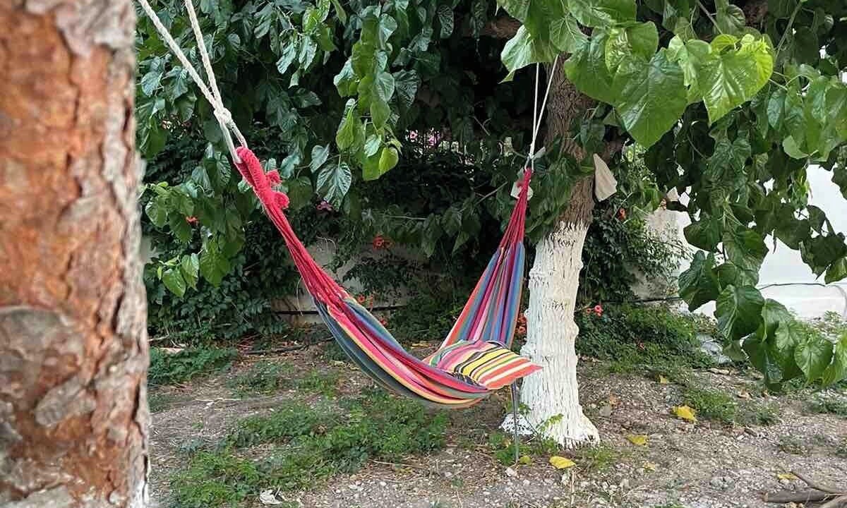 Photo of Outdoor in Nerantza