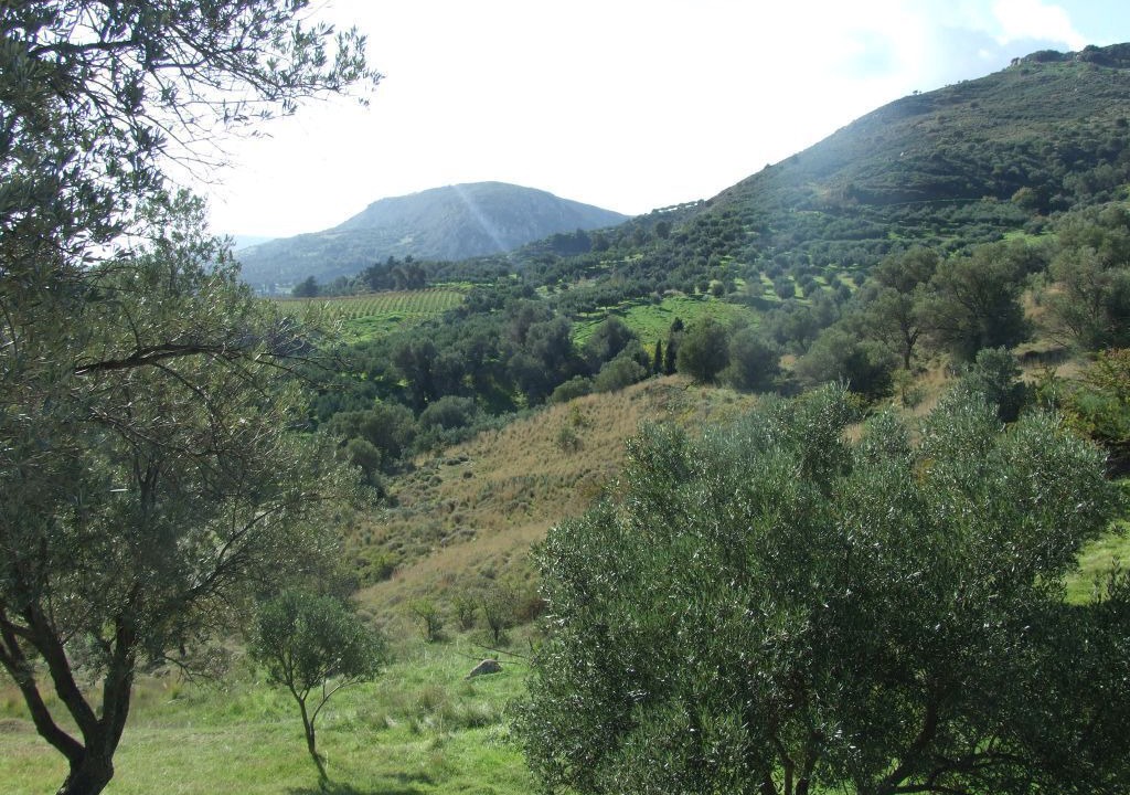 Photo of Others in Vlachiana
