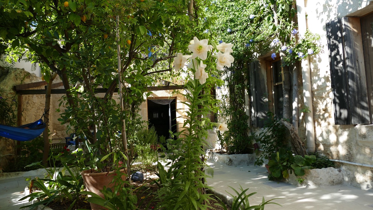 Photo of Outdoor in Vlachiana