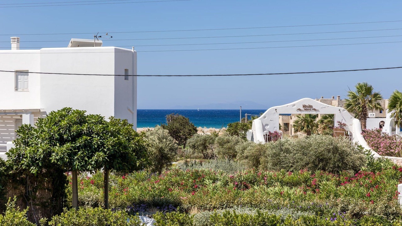 Photo of Others in Naxos