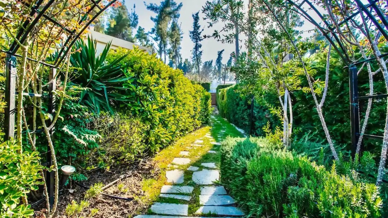 Photo of Outdoor in Sane