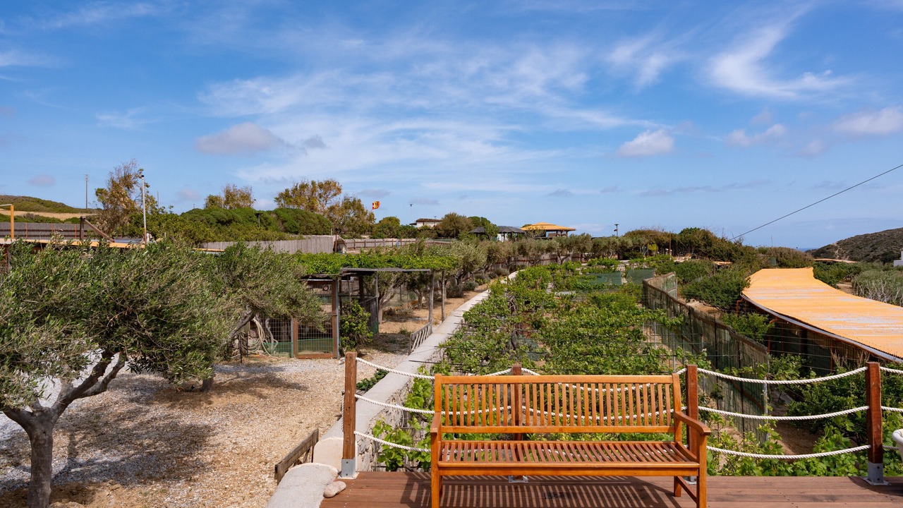 Photo of Outdoor in Milos