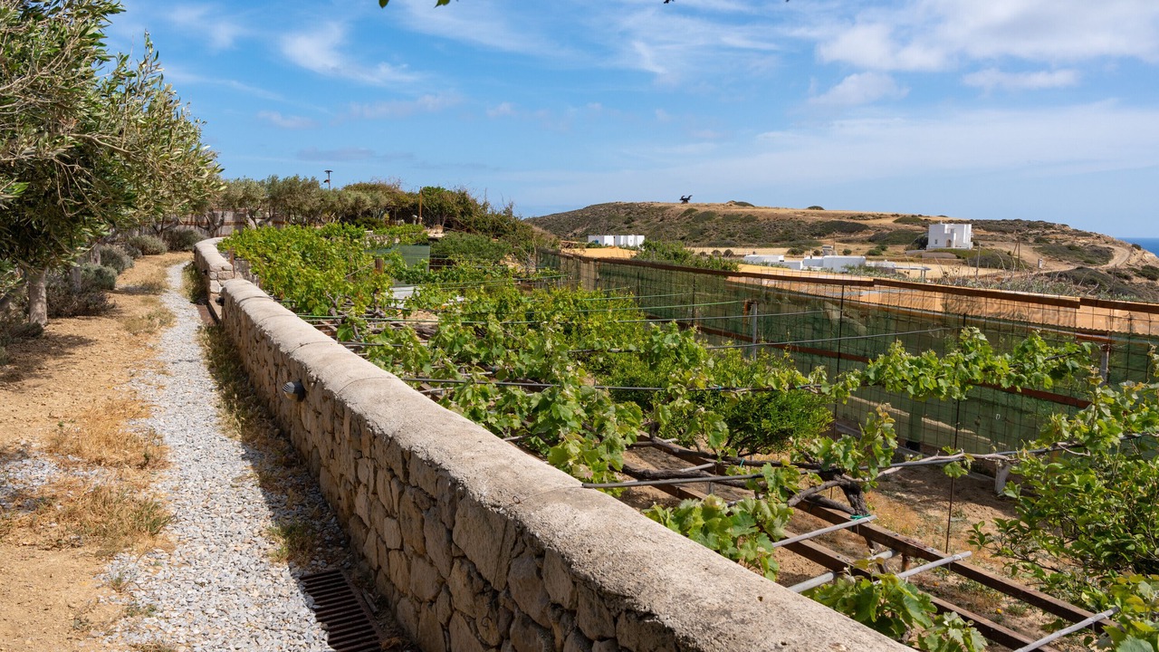 Photo of Outdoor in Milos