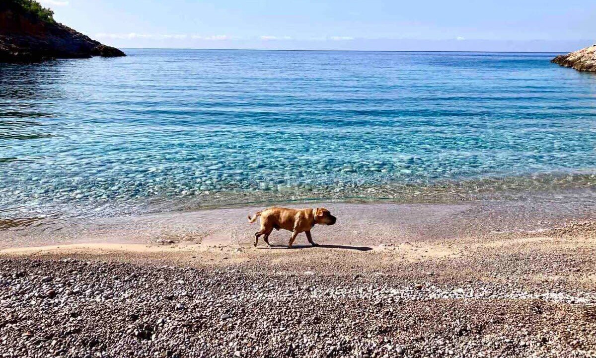 Photo of Others in Chios
