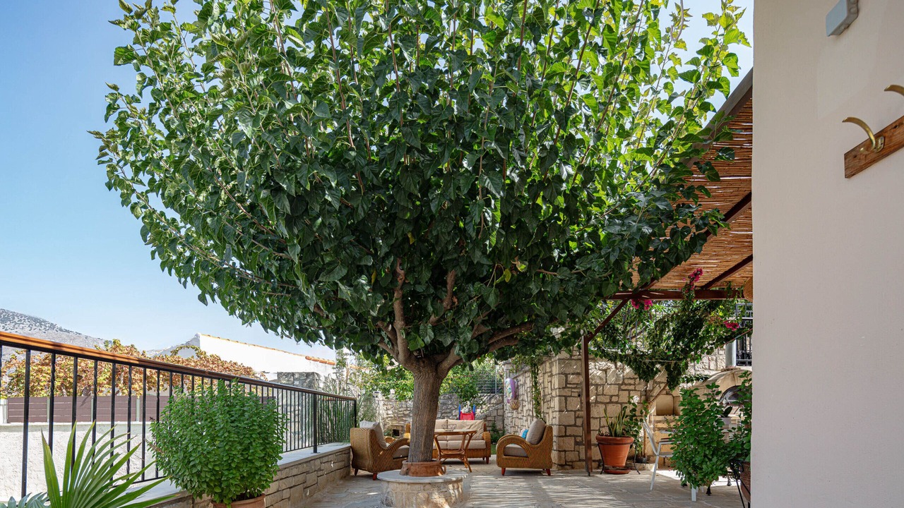Photo of Patio Balcony in Mylopotamos
