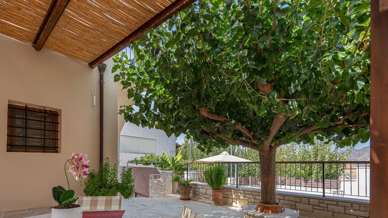 Photo of Outdoor in Mylopotamos