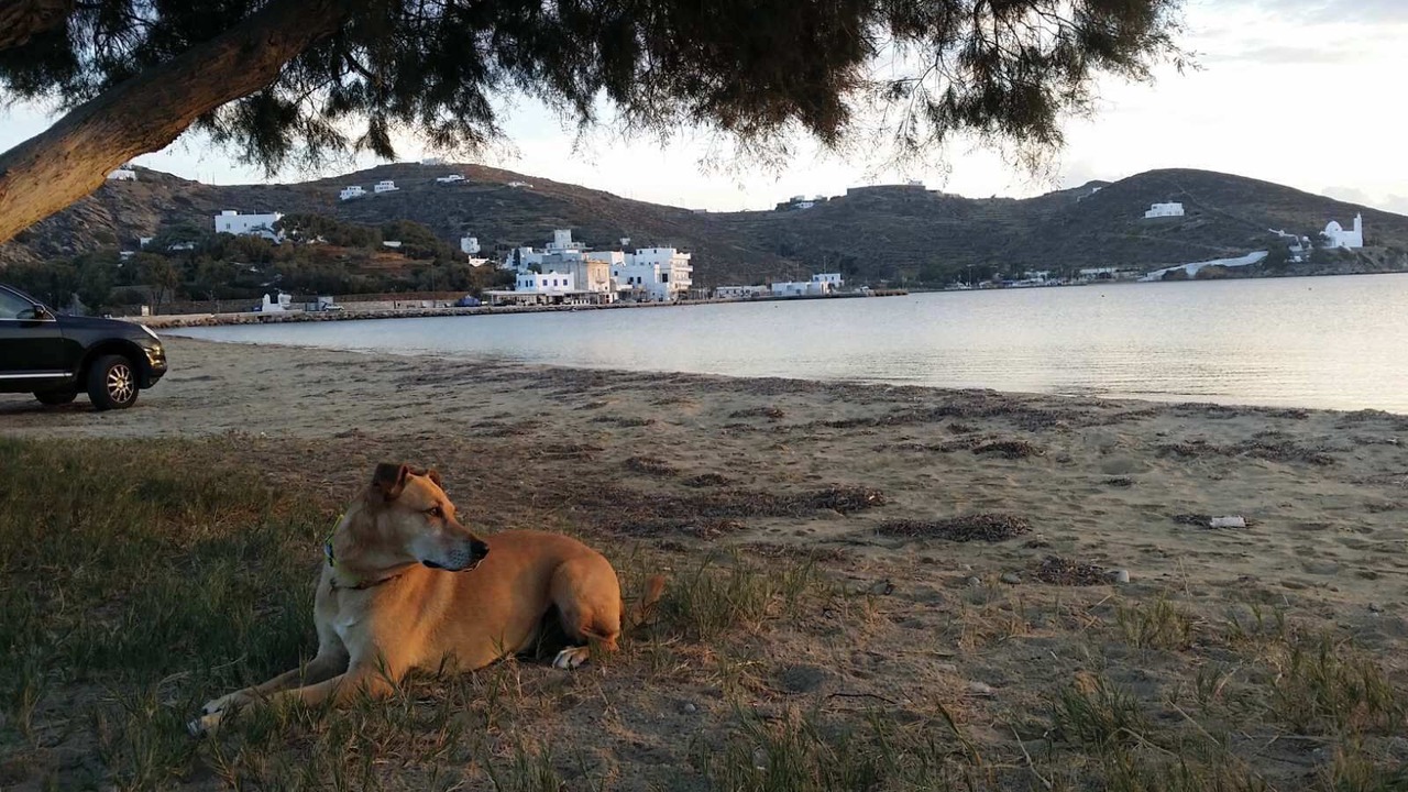 Photo of Others in Ios Town