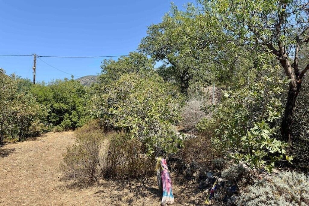 Photo of Others in Nisyros
