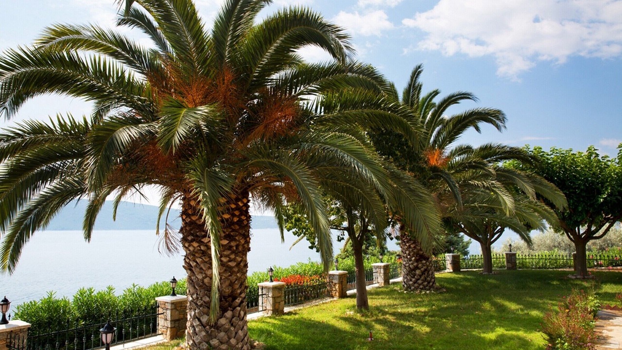 Photo of Outdoor in Nimfea