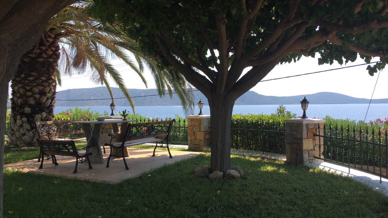Photo of Outdoor in Nimfea