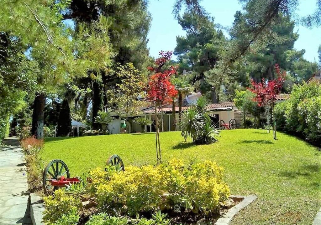 Photo of Outdoor in Sane