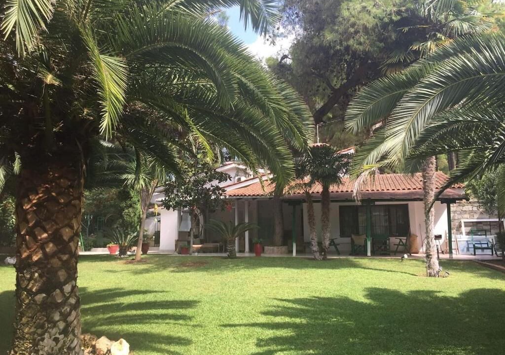 Photo of Outdoor in Sane