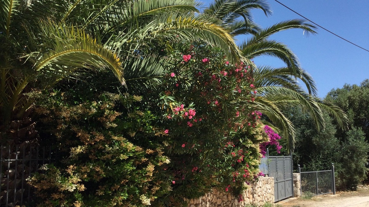 Photo of Outdoor in Pesada