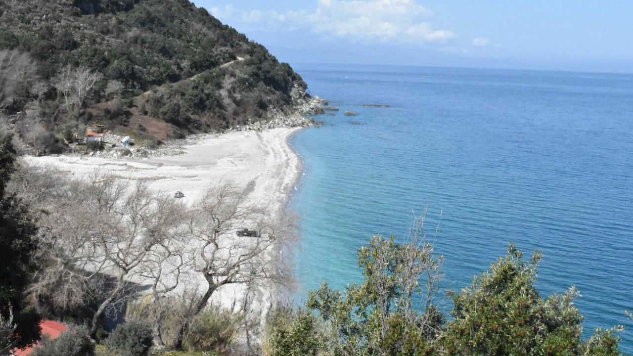 Photo of Others in Ovrios