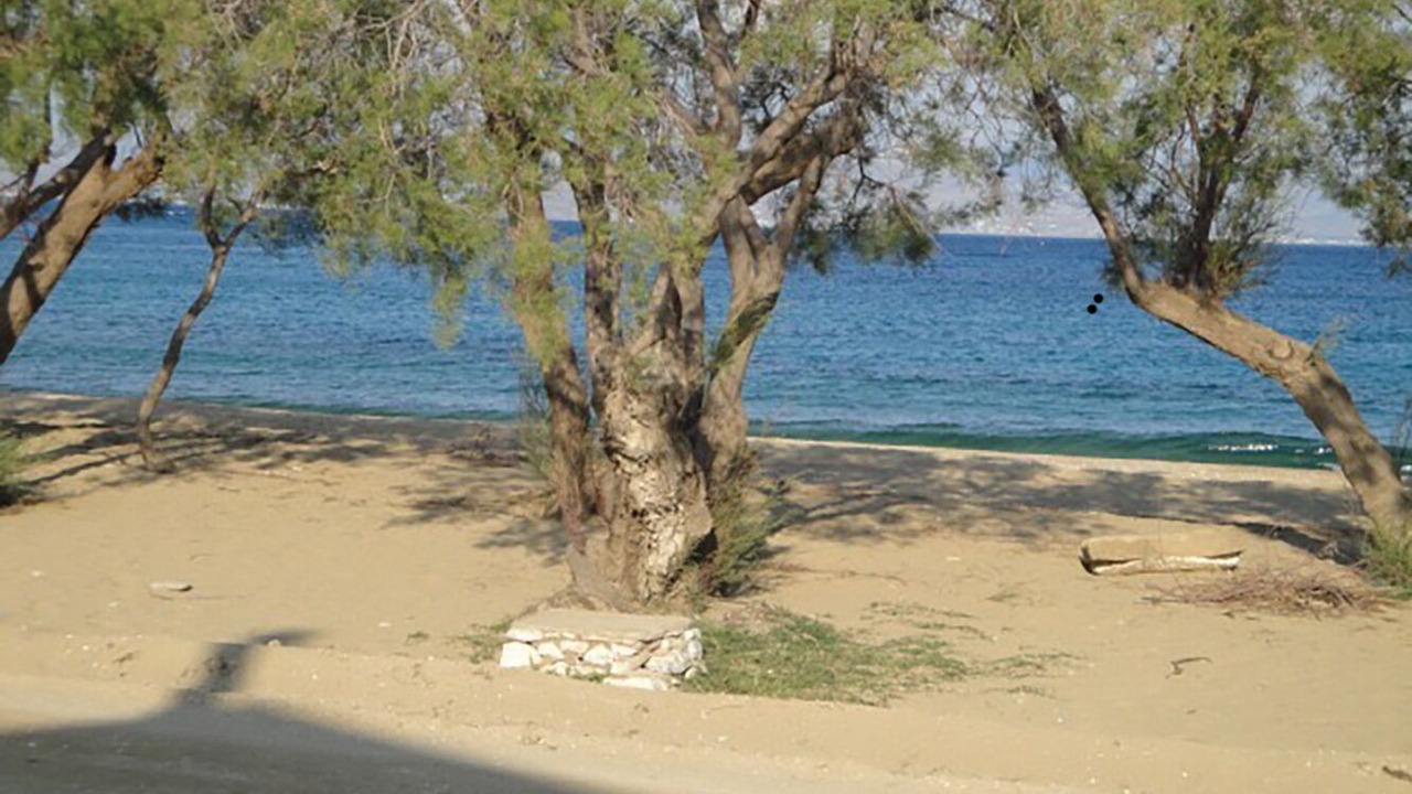Photo of Others in Logaras