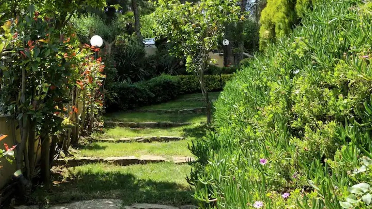 Photo of Outdoor in Sane
