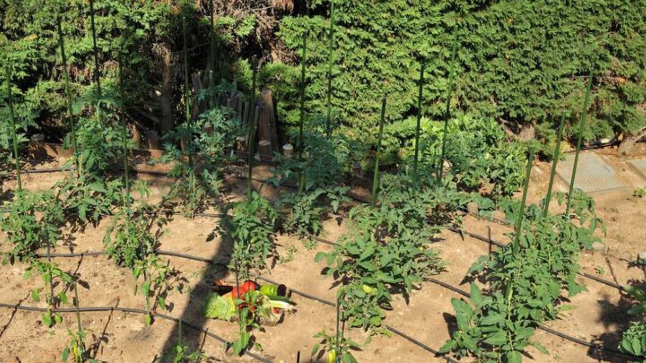 Photo of Outdoor in Sane