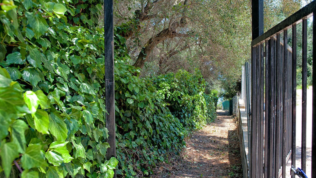 Photo of Outdoor in Barbati