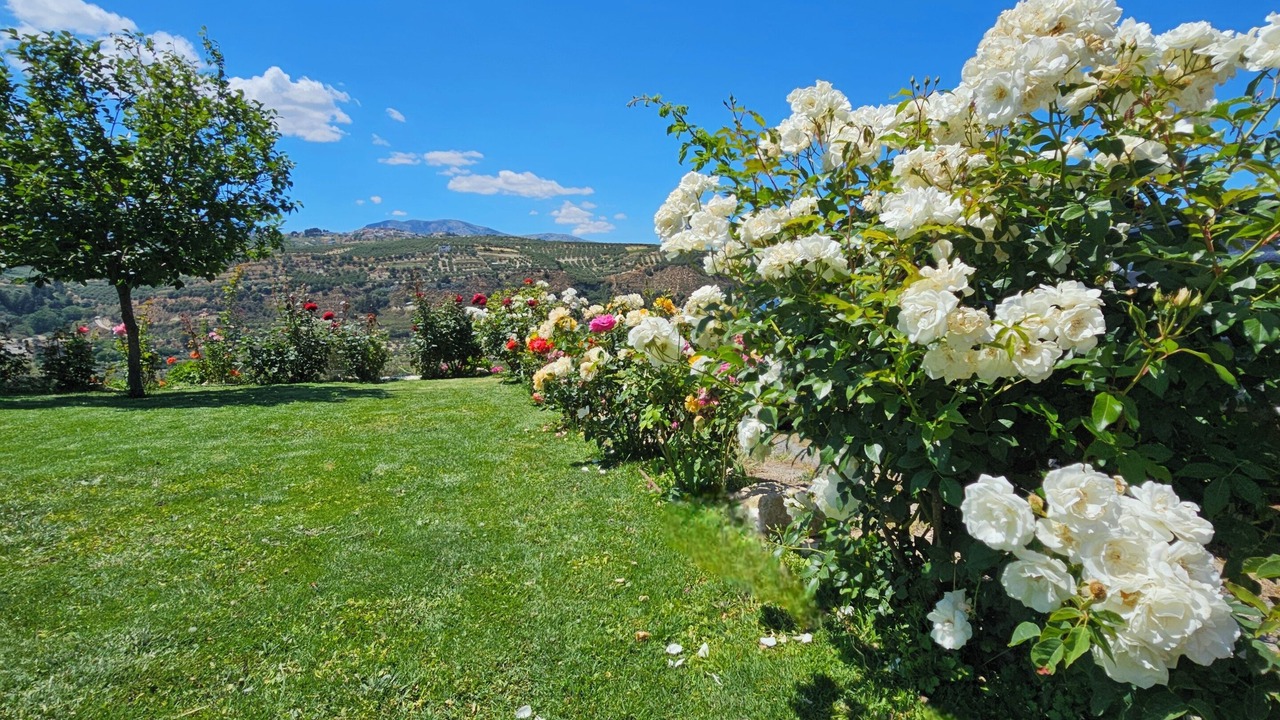 Photo of Outdoor in Archanes