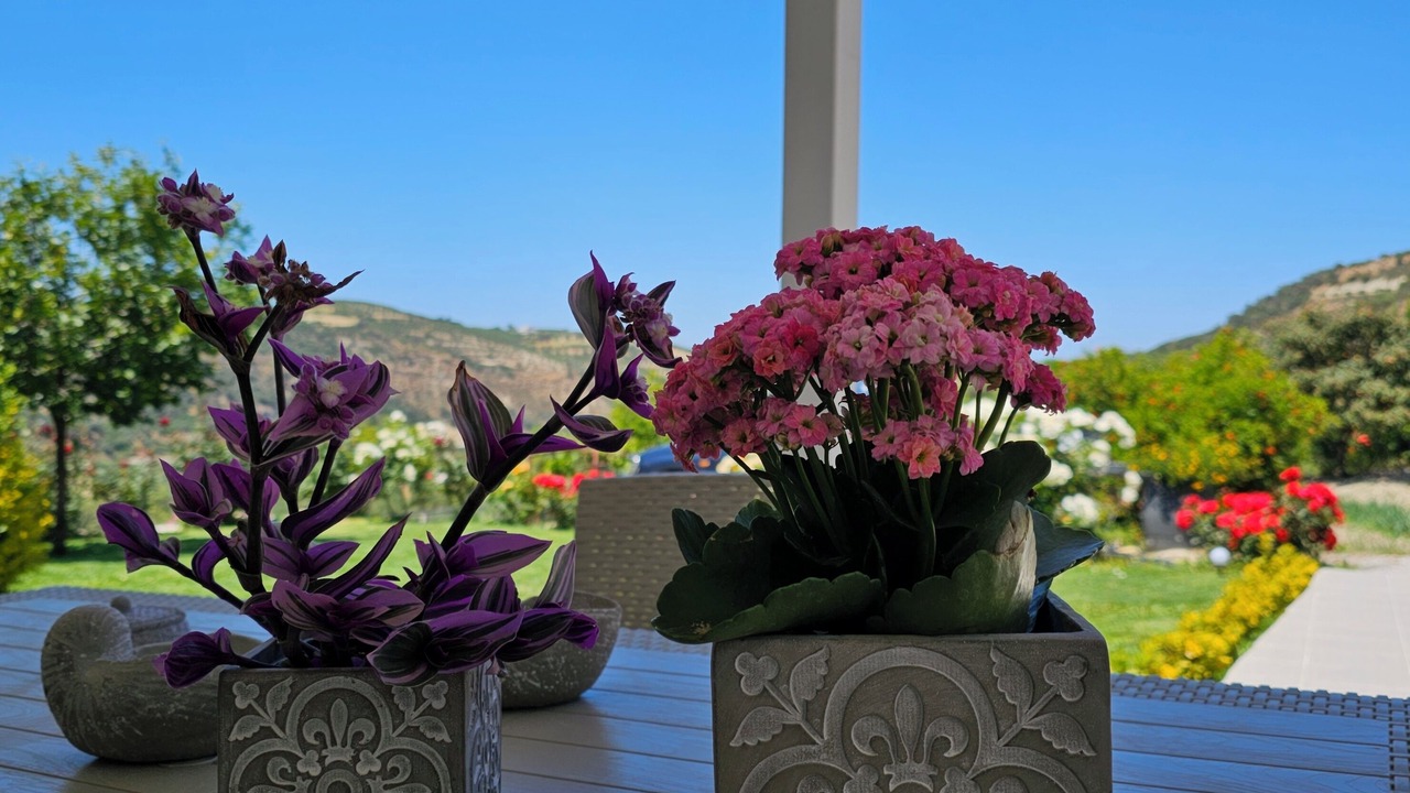 Photo of Outdoor in Archanes