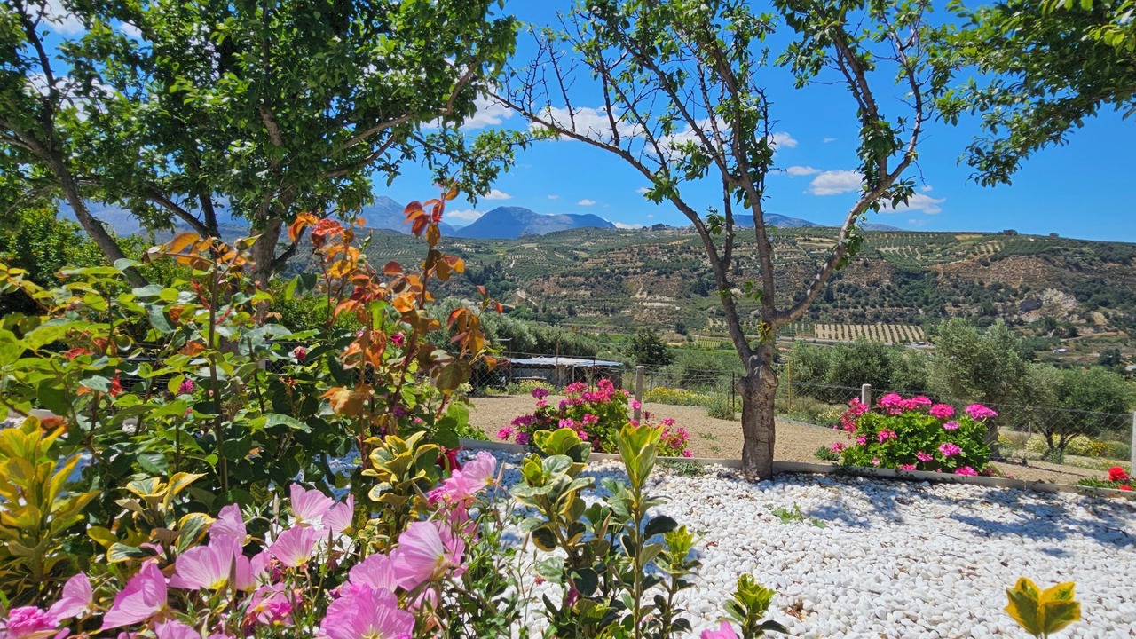 Photo of Outdoor in Archanes
