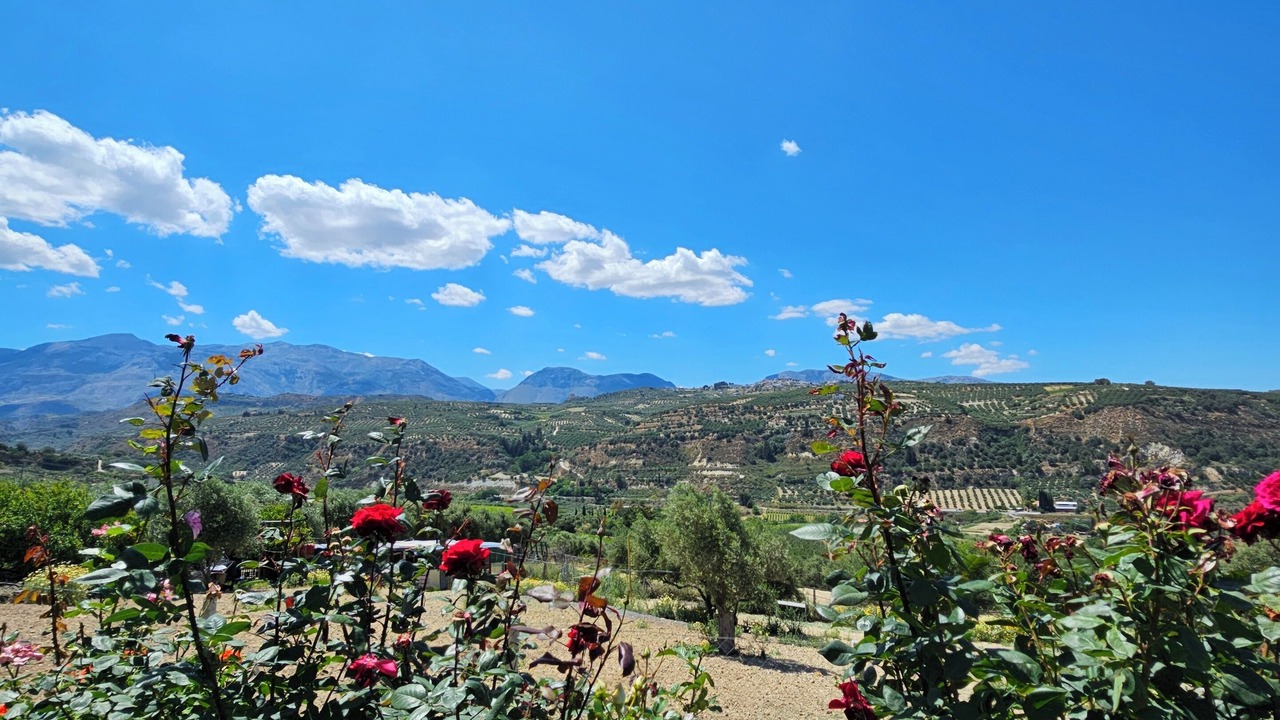 Photo of Outdoor in Archanes