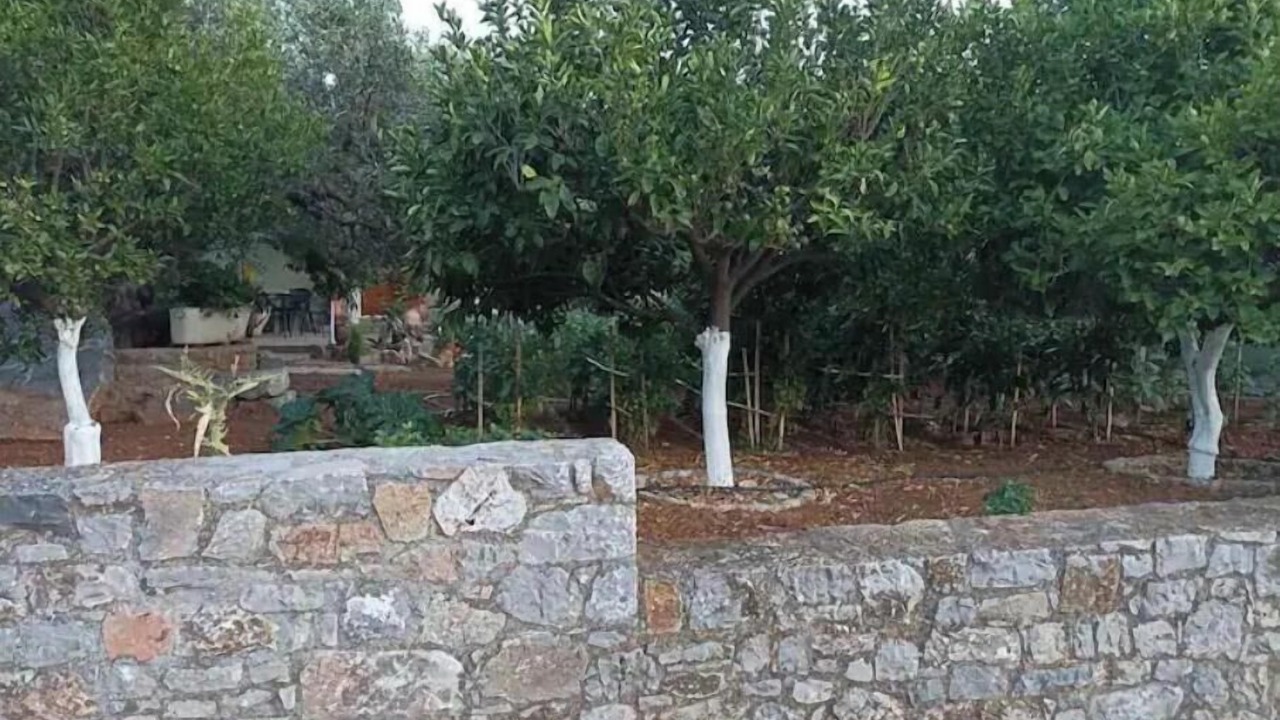 Photo of Outdoor in Kounelion