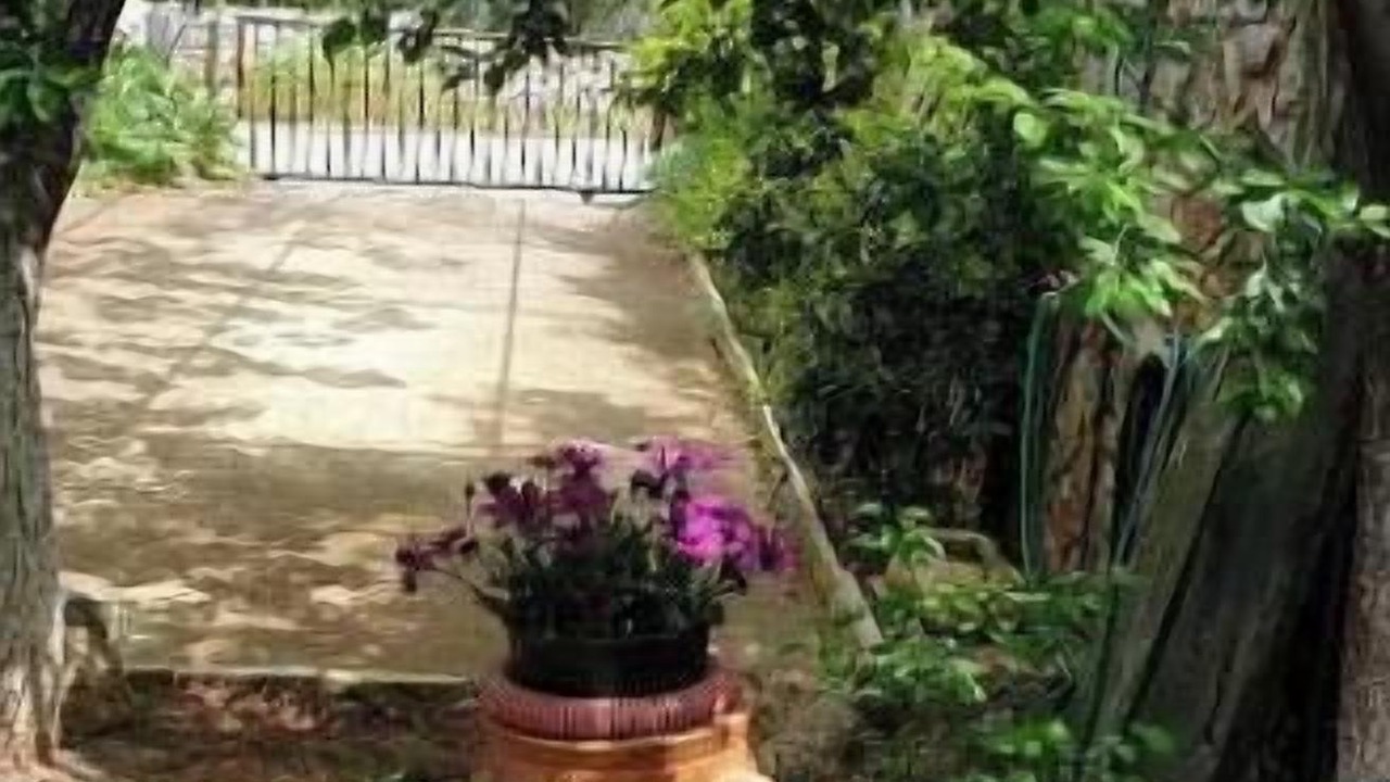 Photo of Outdoor in Kounelion
